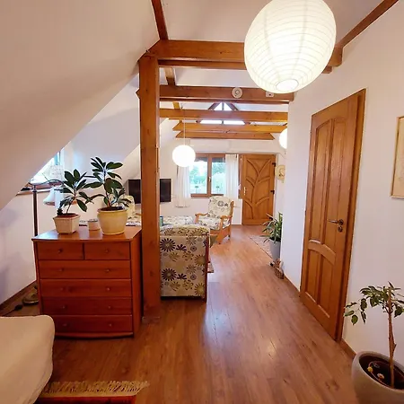 Ferienhaus Ket To Vendeghaz